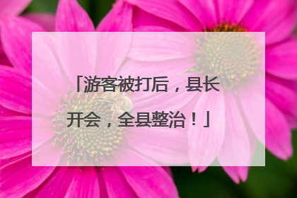 游客被打后，县长开会，全县整治！