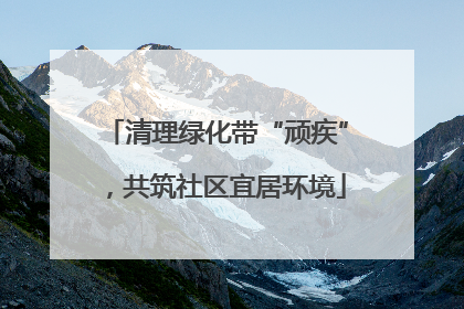 清理绿化带“顽疾”，共筑社区宜居环境
