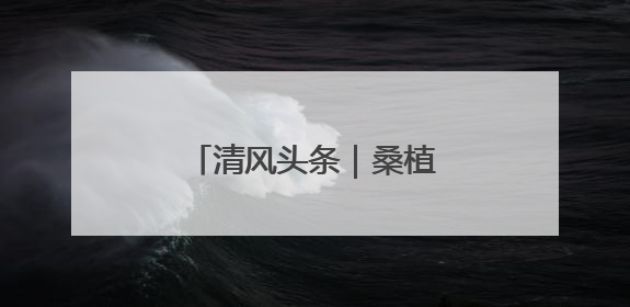清风头条｜桑植县：精准监督守护群众“养老钱”