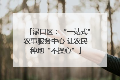 渌口区：“一站式”农事服务中心 让农民种地“不操心”