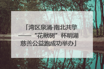 湾区泉涌·南北共擎——“花楸树”杯明湖慈善公益跑成功举办