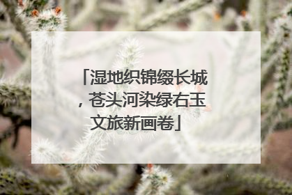 湿地织锦缀长城，苍头河染绿右玉文旅新画卷