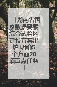 湖南省国家数据要素综合试验区建设方案出炉 明确5个方面20项重点任务