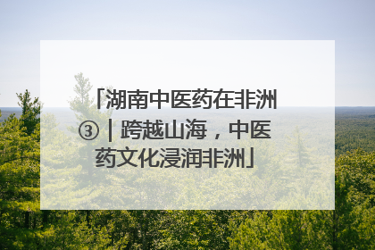 湖南中医药在非洲③｜跨越山海，中医药文化浸润非洲