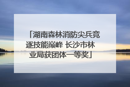 湖南森林消防尖兵竞逐技能巅峰 长沙市林业局获团体一等奖