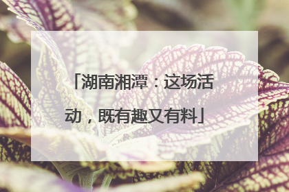 湖南湘潭：这场活动，既有趣又有料