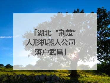 湖北“荆楚”人形机器人公司落户武昌