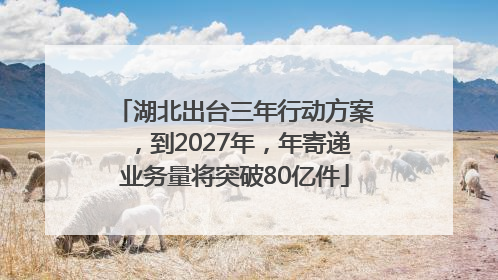 湖北出台三年行动方案，到2027年，年寄递业务量将突破80亿件