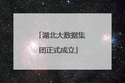 湖北大数据集团正式成立