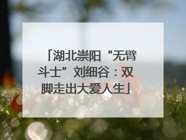 湖北崇阳“无臂斗士”刘细谷：双脚走出大爱人生