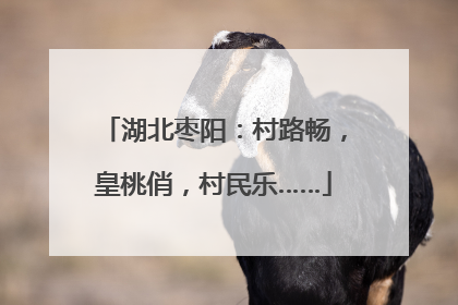 湖北枣阳：村路畅，皇桃俏，村民乐……
