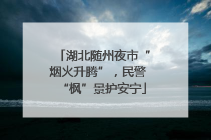 湖北随州夜市“烟火升腾”，民警“枫”景护安宁