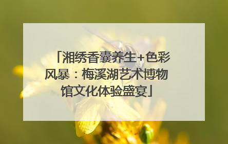 湘绣香囊养生+色彩风暴：梅溪湖艺术博物馆文化体验盛宴