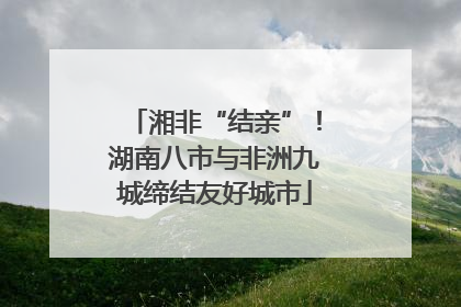 湘非“结亲”！湖南八市与非洲九城缔结友好城市