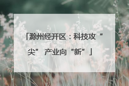 滁州经开区：科技攻“尖” 产业向“新”