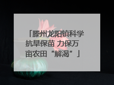 滕州龙阳镇科学抗旱保苗 力保万亩农田“解渴”
