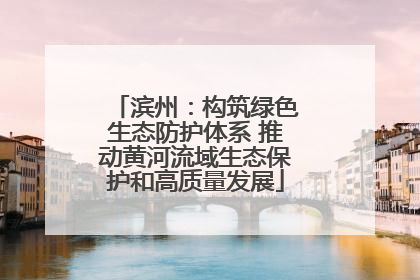滨州：构筑绿色生态防护体系 推动黄河流域生态保护和高质量发展