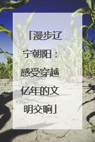 漫步辽宁朝阳：感受穿越亿年的文明交响