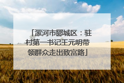 漯河市郾城区：驻村第一书记王元明带领群众走出致富路