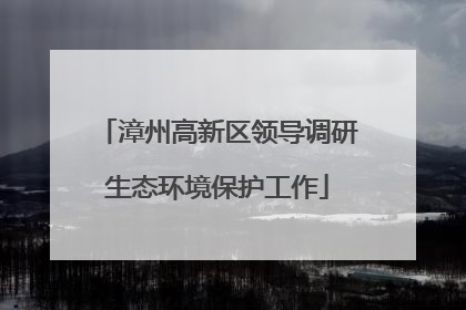 漳州高新区领导调研生态环境保护工作