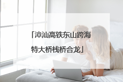 漳汕高铁东山跨海特大桥栈桥合龙