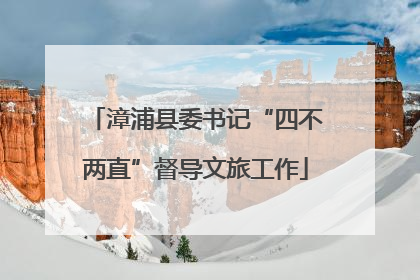 漳浦县委书记“四不两直”督导文旅工作