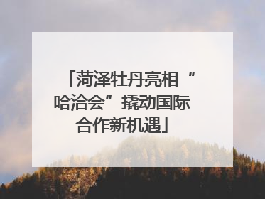 菏泽牡丹亮相“哈洽会”撬动国际合作新机遇