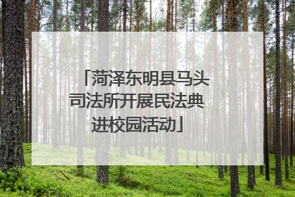 菏泽东明县马头司法所开展民法典进校园活动