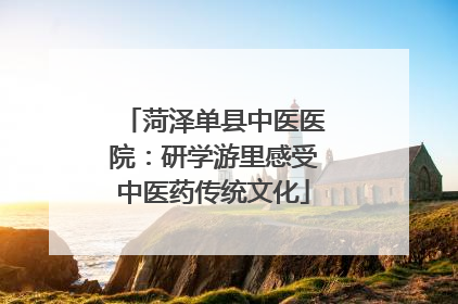 菏泽单县中医医院：研学游里感受中医药传统文化