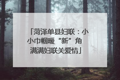 菏泽单县妇联：小小巾帼暖“新”角 满满妇联关爱情