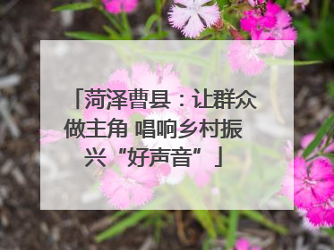 菏泽曹县：让群众做主角 唱响乡村振兴“好声音”