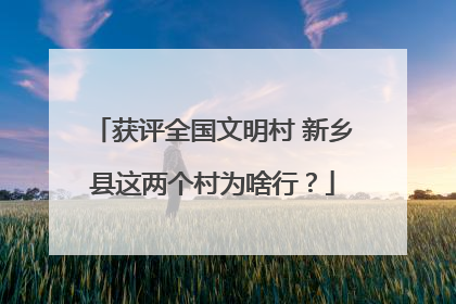 获评全国文明村 新乡县这两个村为啥行？
