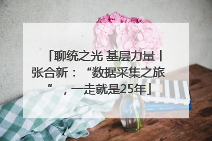 聊统之光 基层力量丨张合新：“数据采集之旅”，一走就是25年