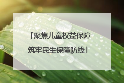 聚焦儿童权益保障 筑牢民生保障防线
