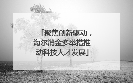 聚焦创新驱动，海尔消金多举措推动科技人才发展