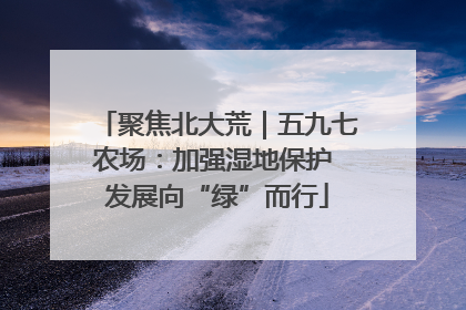 聚焦北大荒｜五九七农场：加强湿地保护 发展向“绿”而行
