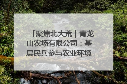 聚焦北大荒｜青龙山农场有限公司：基层民兵参与农业环境综合治理显效