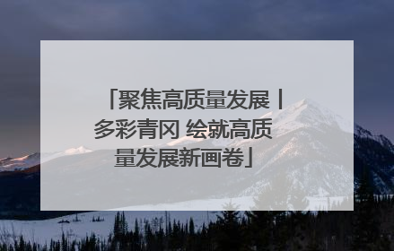 聚焦高质量发展丨多彩青冈 绘就高质量发展新画卷