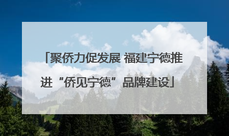 聚侨力促发展 福建宁德推进“侨见宁德”品牌建设