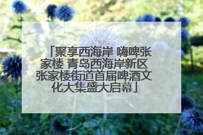 聚享西海岸 嗨啤张家楼 青岛西海岸新区张家楼街道首届啤酒文化大集盛大启幕