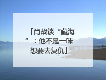 肖战谈“藏海”：他不是一味想要去复仇