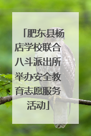 肥东县杨店学校联合八斗派出所举办安全教育志愿服务活动