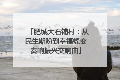 肥城大石铺村：从民生期盼到幸福蝶变奏响振兴交响曲