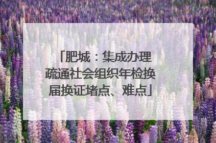 肥城：集成办理 疏通社会组织年检换届换证堵点、难点