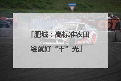 肥城：高标准农田绘就好“丰”光