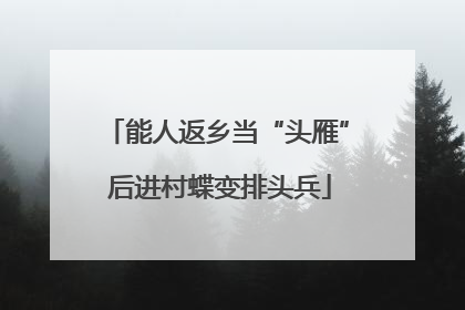 能人返乡当“头雁” 后进村蝶变排头兵