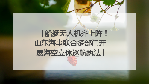 船艇无人机齐上阵！山东海事联合多部门开展海空立体巡航执法