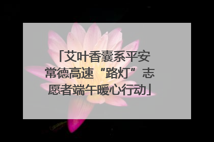 艾叶香囊系平安 常德高速“路灯”志愿者端午暖心行动