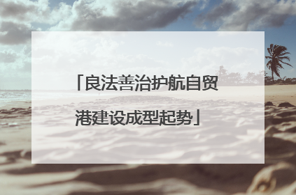良法善治护航自贸港建设成型起势