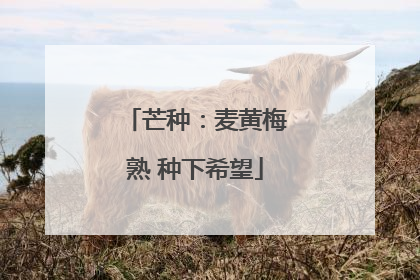 芒种：麦黄梅熟 种下希望